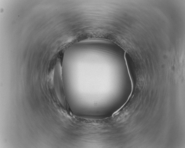 X0000087391010200705042005