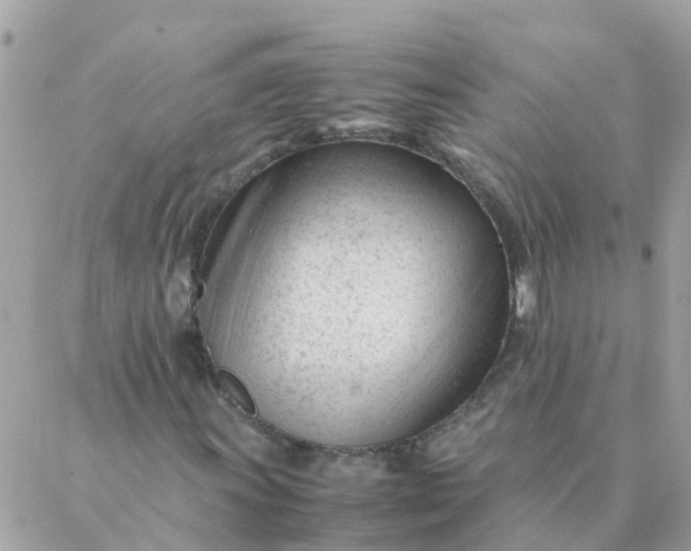 X0000087391011200705042005