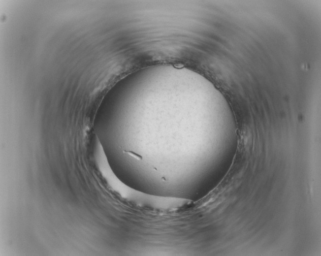 X0000087391012200705042005