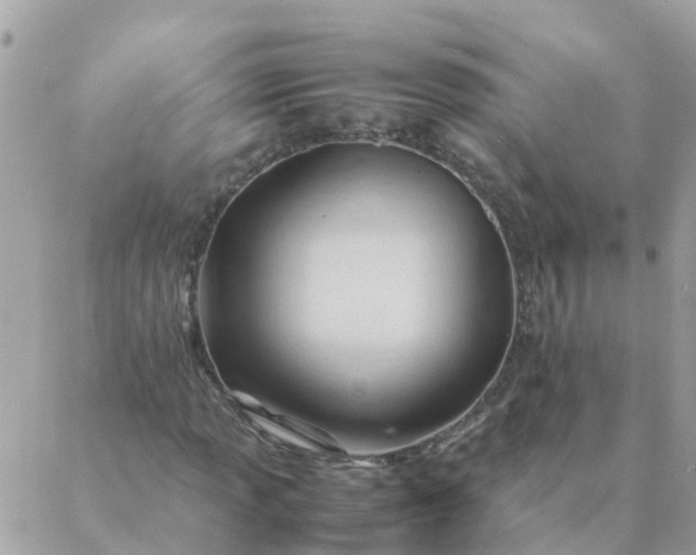 X0000087391013200705042005