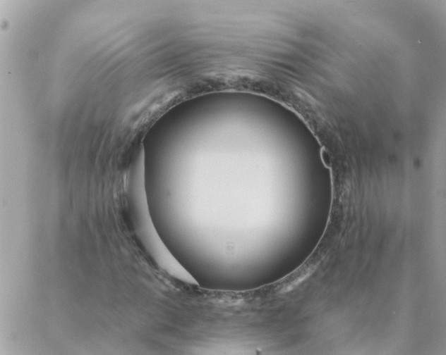 X0000087391014200705042005