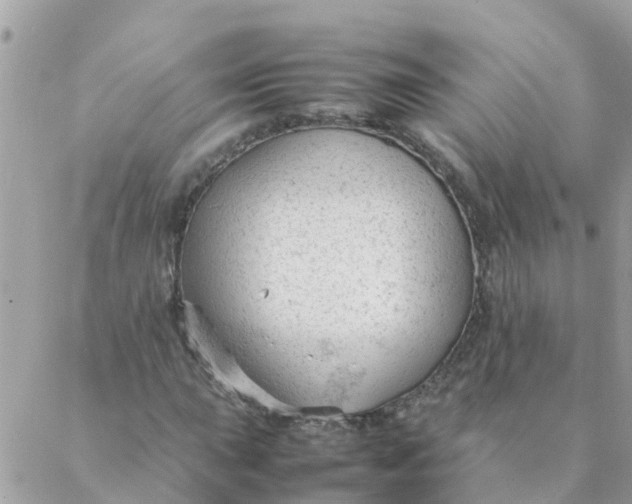 X0000087391015200705042005