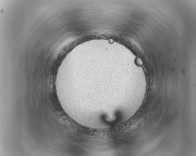 X0000087391016200705042005