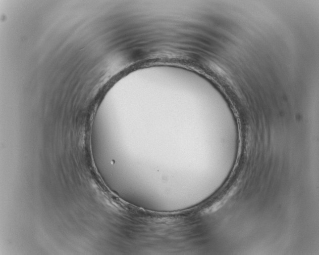 X0000087391017200705042005