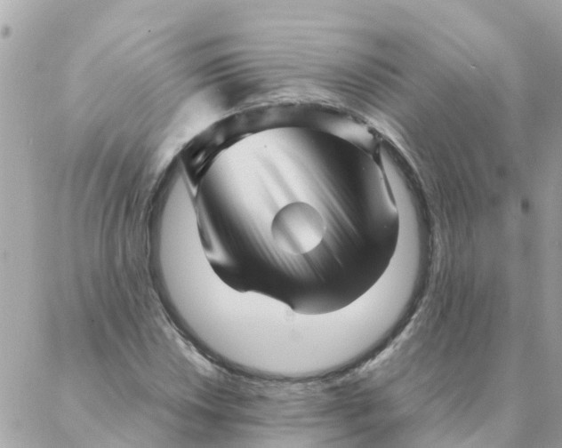 X0000087391018200705042005