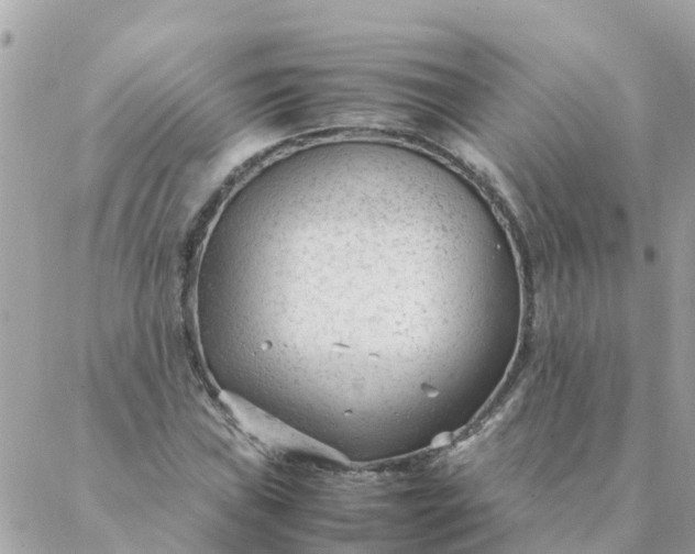 X0000087391019200705042005