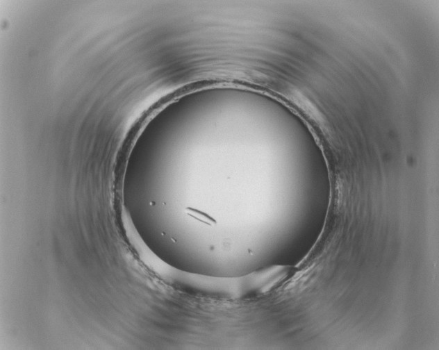 X0000087391020200705042005