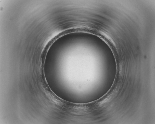 X0000087391021200705042005