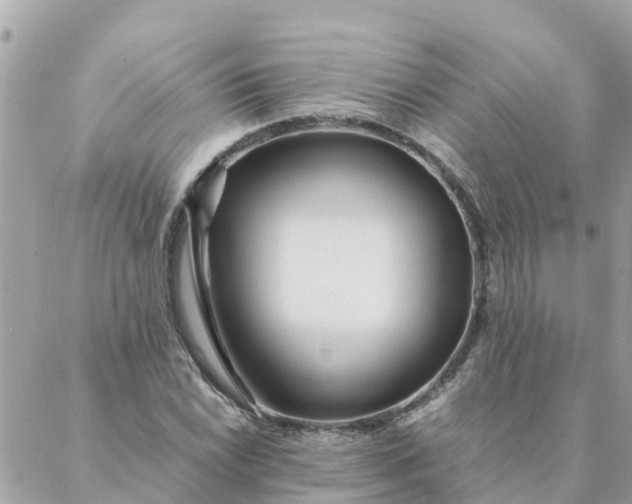 X0000087391022200705042005