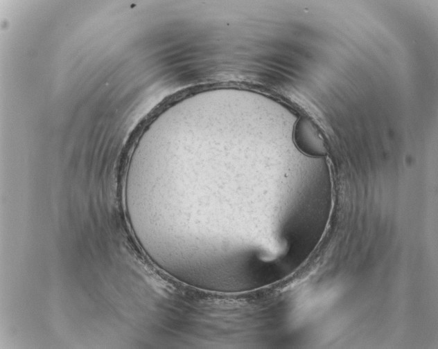 X0000087391023200705042005