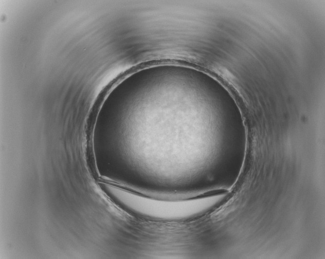 X0000087391024200705042005