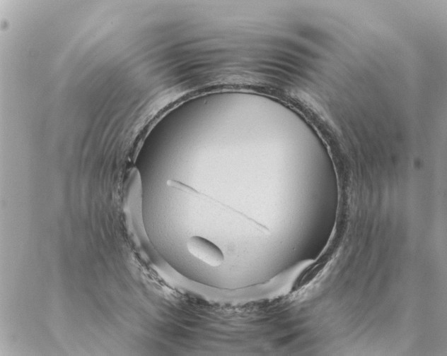 X0000087391025200705042005