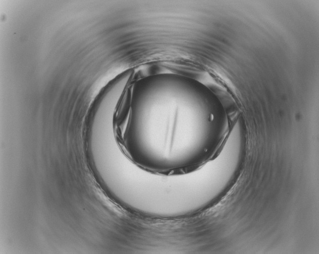 X0000087391026200705042005