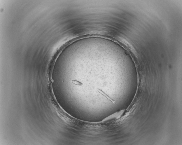 X0000087391027200705042005