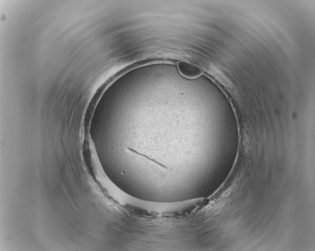 X0000087391028200705042005