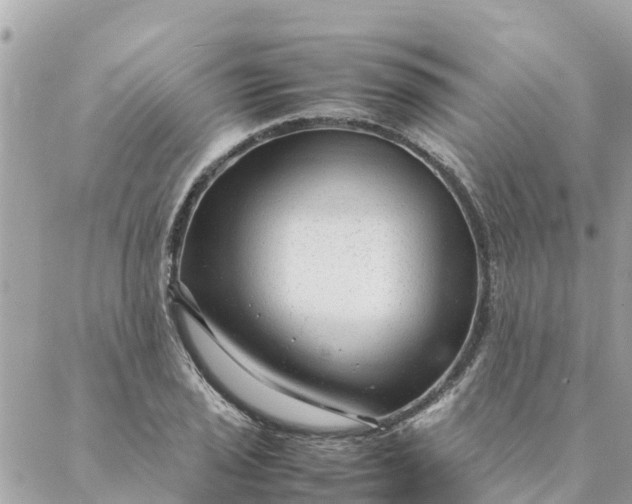 X0000087391029200705042005