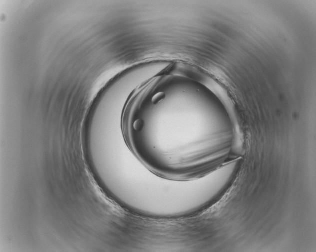 X0000087391030200705042005