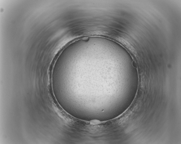 X0000087391031200705042005