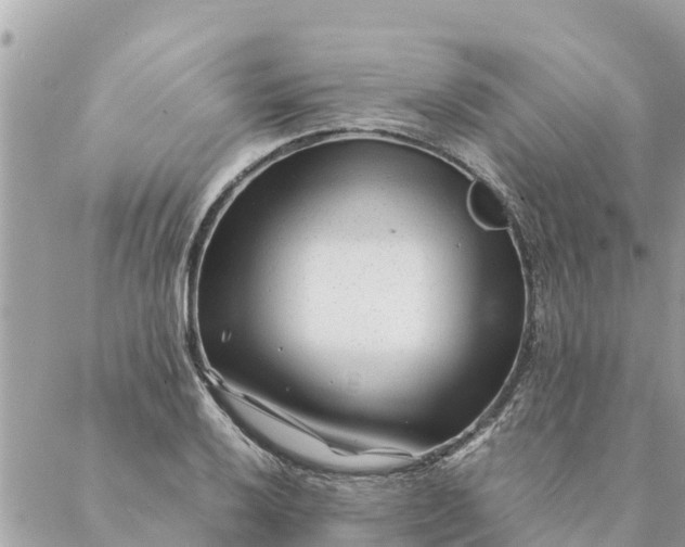 X0000087391032200705042005