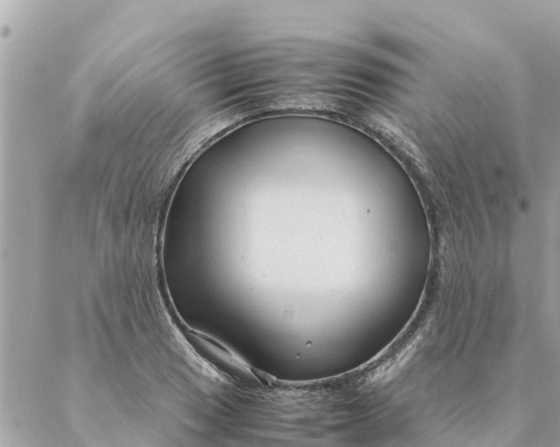 X0000087391033200705042005