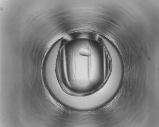 X0000087391034200705042005