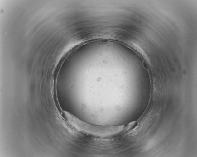 X0000087391035200705042005