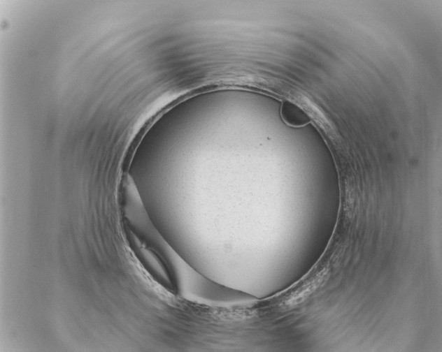 X0000087391036200705042005