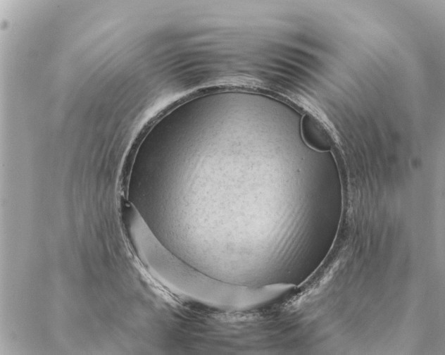 X0000087391037200705042005