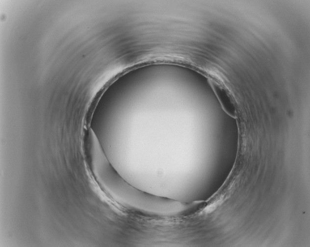 X0000087391038200705042005