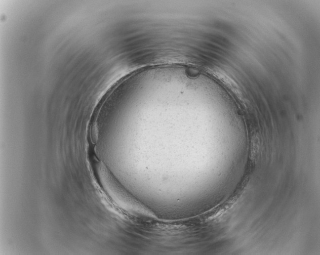 X0000087391039200705042005