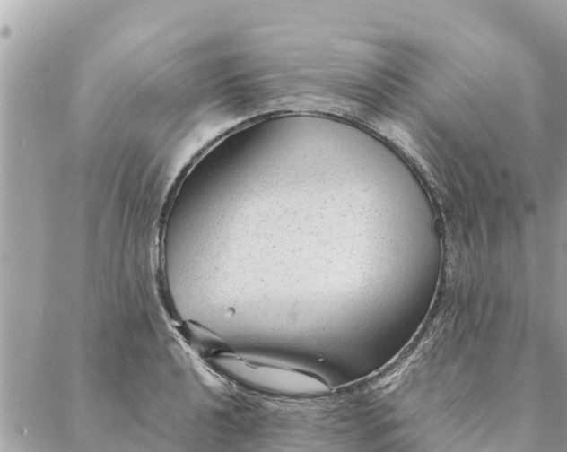 X0000087391040200705042005