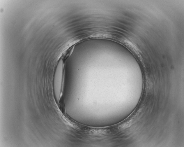 X0000087391041200705042005