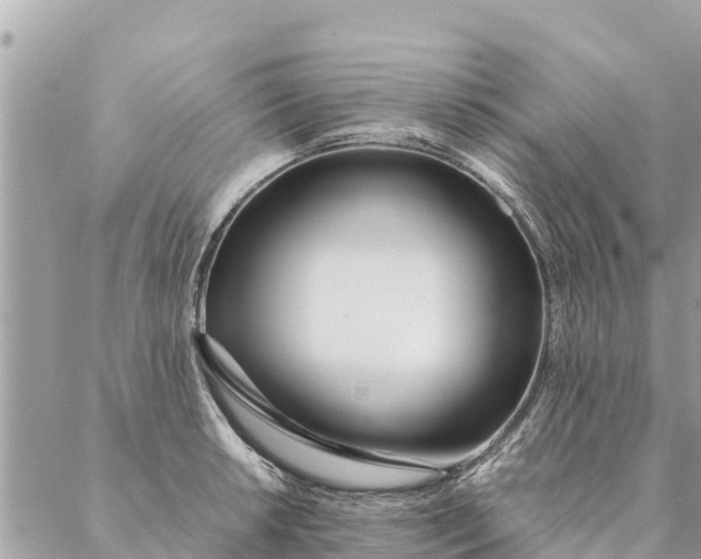 X0000087391042200705042005