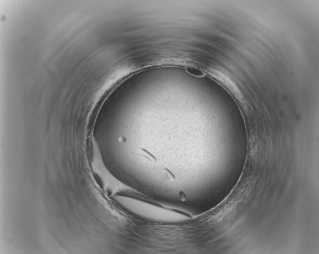 X0000087391043200705042005