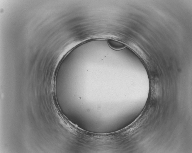 X0000087391044200705042005