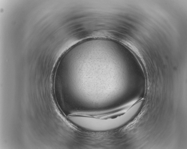 X0000087391045200705042005