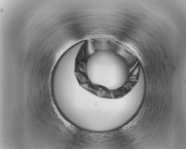 X0000087391046200705042005