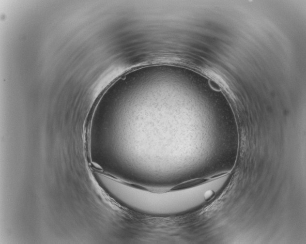 X0000087391047200705042005