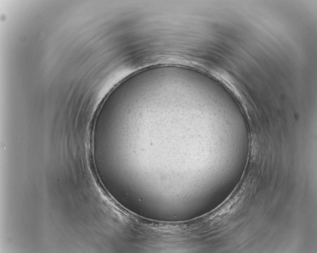 X0000087391048200705042005