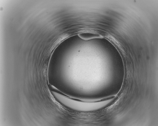 X0000087391049200705042005