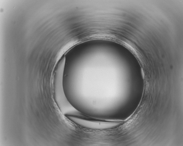 X0000087391050200705042005