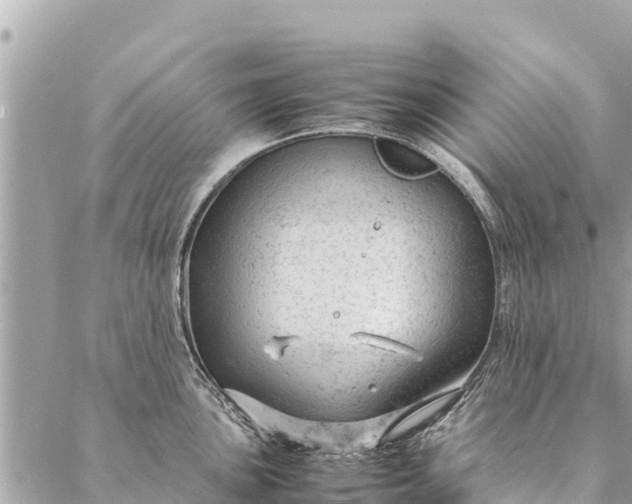 X0000087391051200705042005