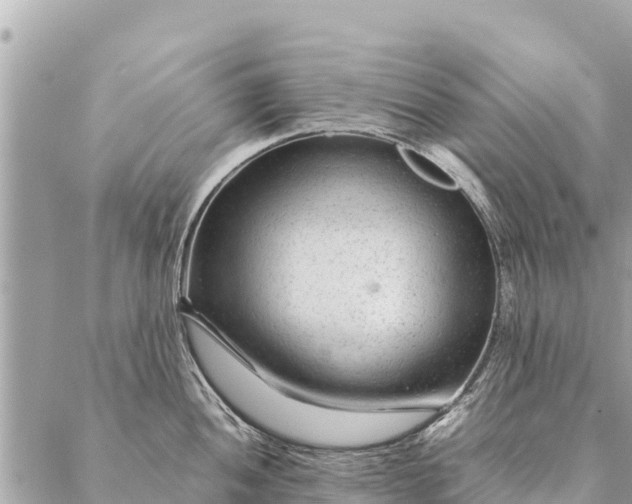 X0000087391052200705042005