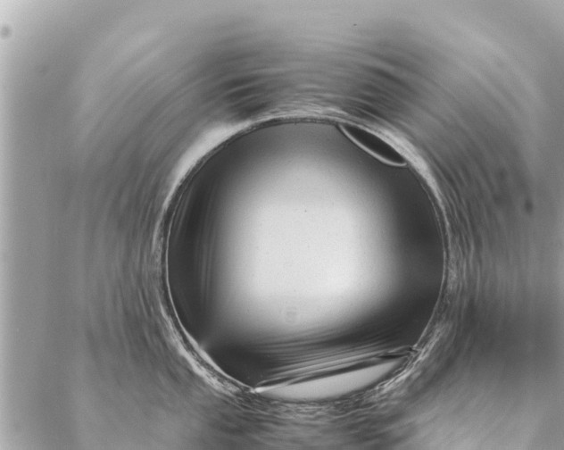 X0000087391053200705042005