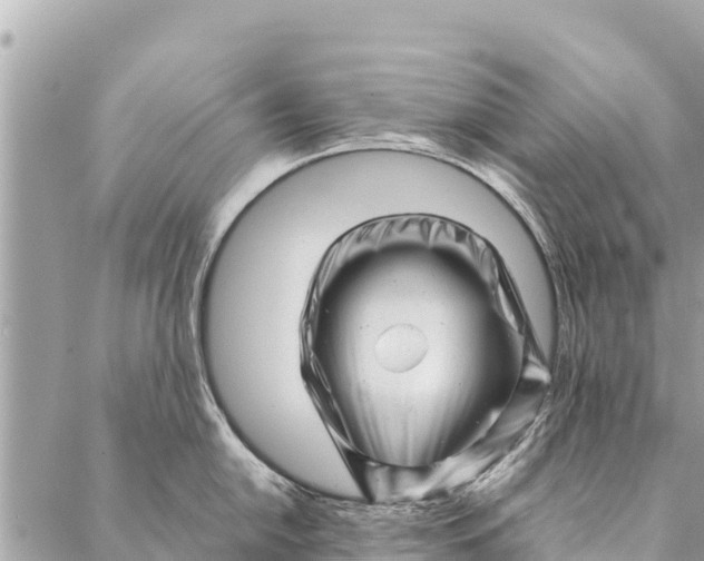 X0000087391054200705042005