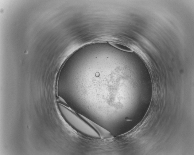 X0000087391055200705042005