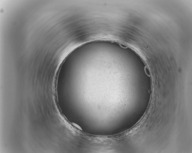 X0000087391056200705042005