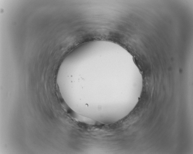 X0000087391057200705042005