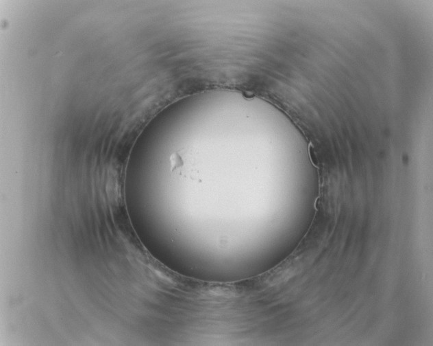 X0000087391058200705042005