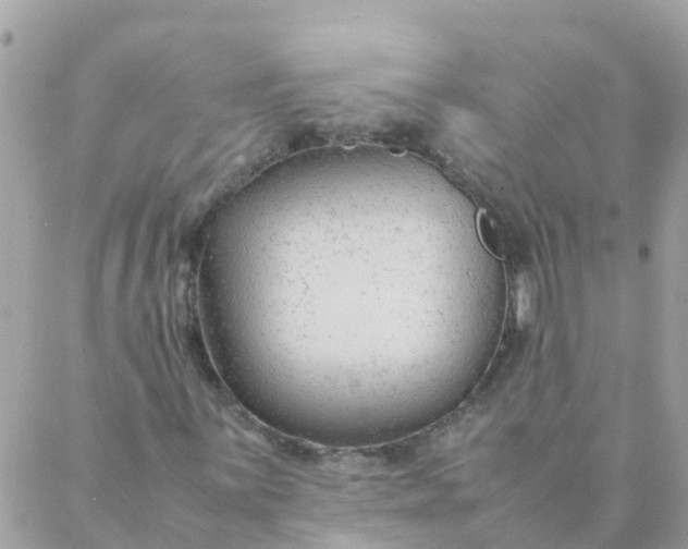 X0000087391059200705042005